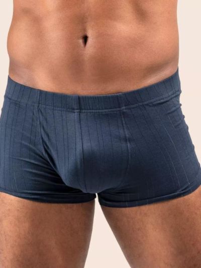 Lot de 2 boxer en 95 % de coton bio, navy et bleu clair, GOTS et VEGAN